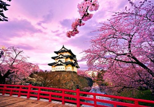 10-Tips-Belajar-Bahasa-Jepang-agar-Cepat-Mahir
