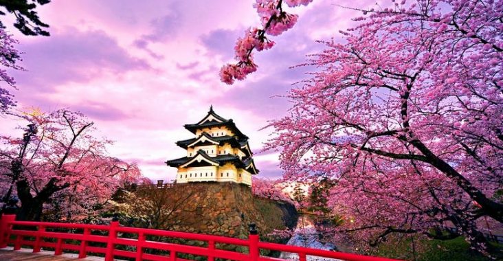 10-Tips-Belajar-Bahasa-Jepang-agar-Cepat-Mahir