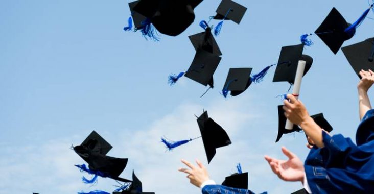 Fresh Graduate